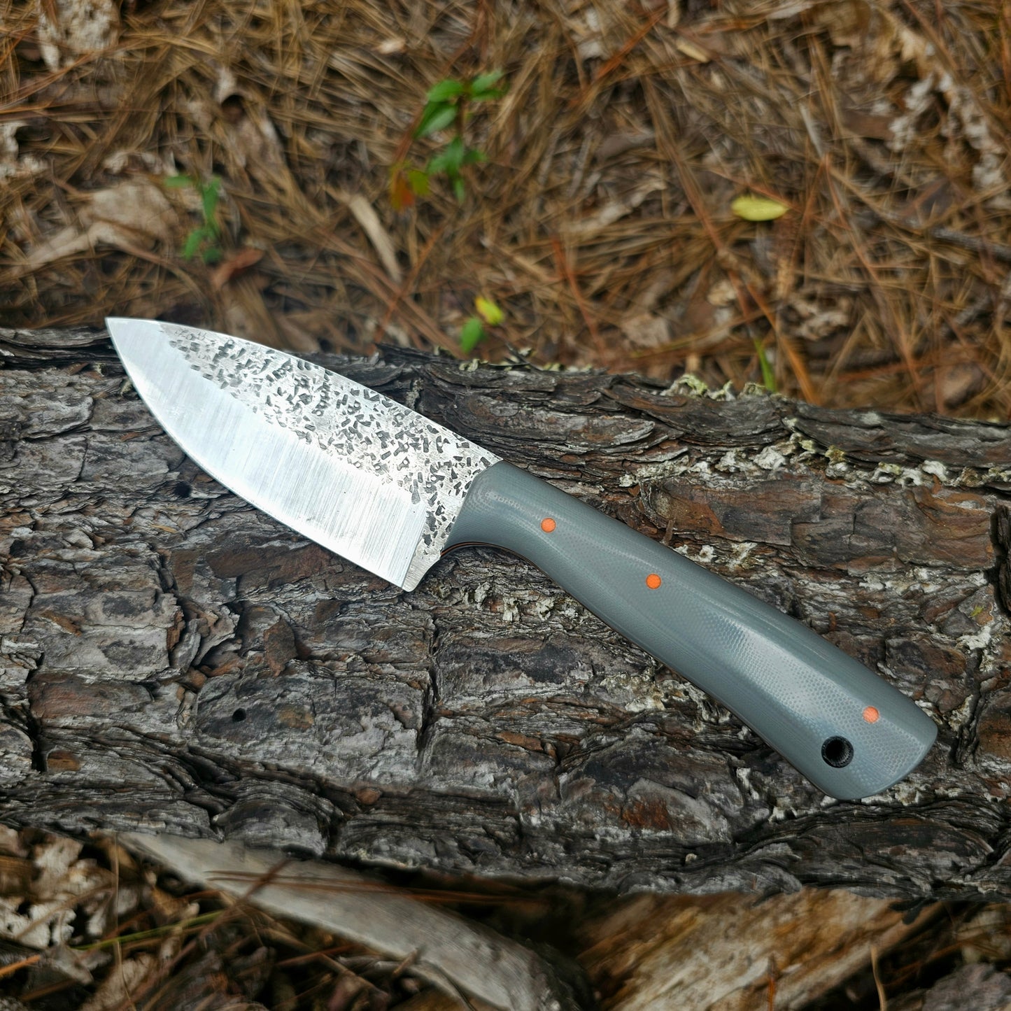 "T-Rex Skinner"